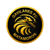 Gavilanes FC Matamoros