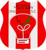 Ethio Electric